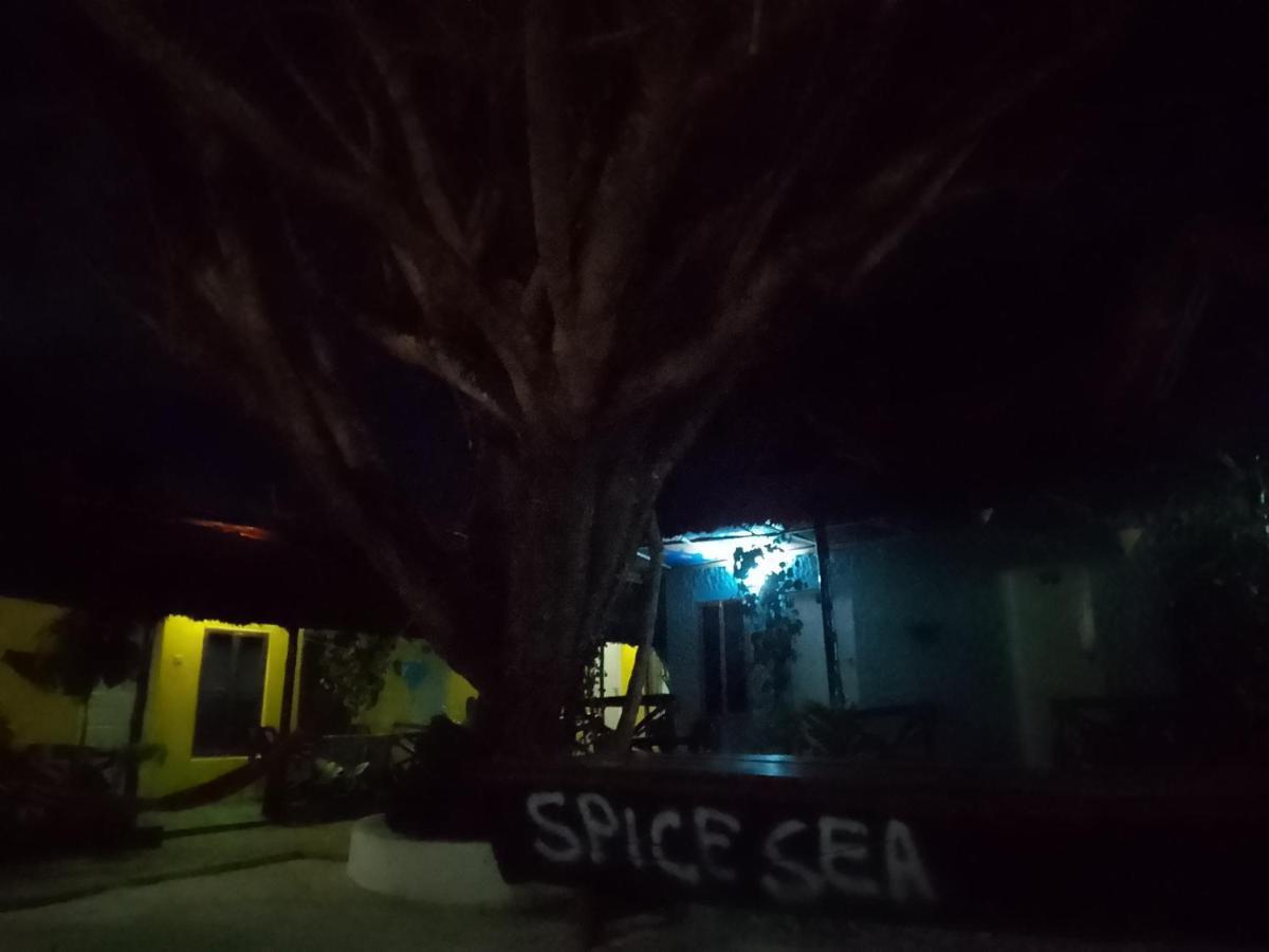 Spice Sea Beach House And Rest Bed & Breakfast Nungwi Exterior photo